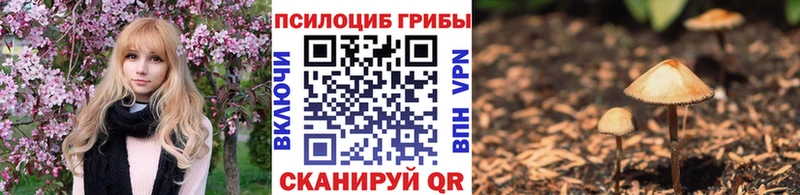 Галлюциногенные грибы GOLDEN TEACHER  Вологда 