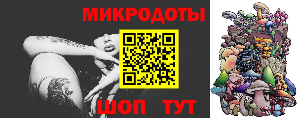 Вологда  Галлюциногенные грибы прущие грибы  Вход с VPN 