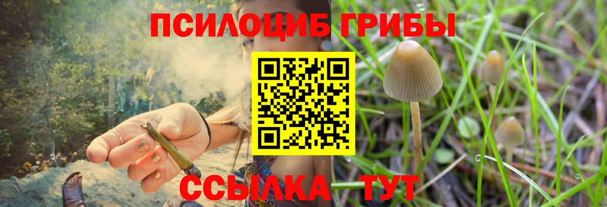 Галлюциногенные грибы прущие грибы Вологда